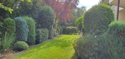Gartenimpressionen - 