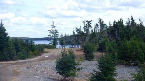 Blick Zufahrt und Teil Grundstück.JPG - 