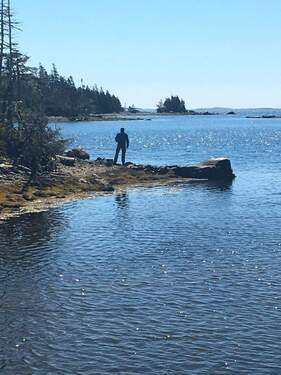 Impressionen Meeresbucht - 