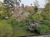 Blick in den Garten - 9 Zimmer Doppelhaushälfte zum Kaufen in Erlangen