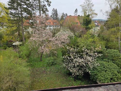 Blick in den Garten - 9 Zimmer Doppelhaushälfte zum Kaufen in Erlangen