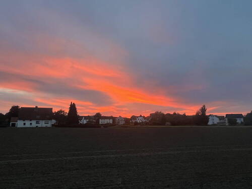 Bild 10 - 