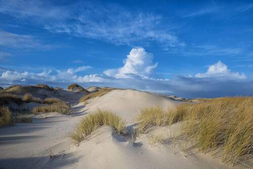 Bild 2 - 1 Zimmer Etagenwohnung zum Kaufen in Sylt