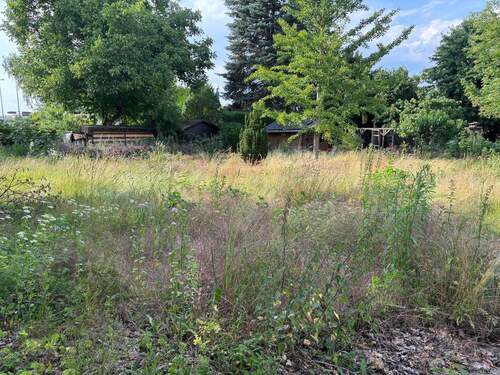 Blick auf das Grundstück - Grundstück zum Kaufen in Berlin