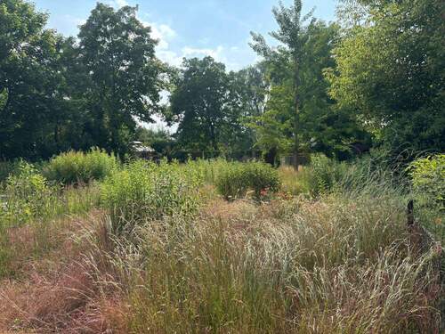 Grundstücksblick - Grundstück in Berlin zum Kaufen