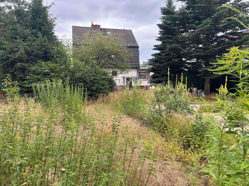Grundstücksblick auf das Vorderhaus - 