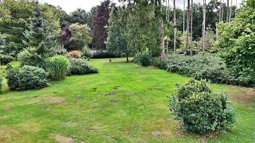 Blick über das Grundstück - 