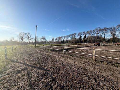 Paddocks, Longierzierkel, Reitplatz, Auslauf für Pferde - 