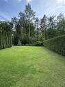 Blick in den Garten - 