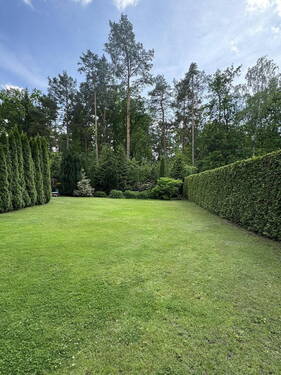 Blick in den Garten - 