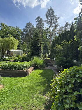 Blick in den Garten - 