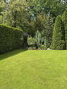 Blick in den Garten - 