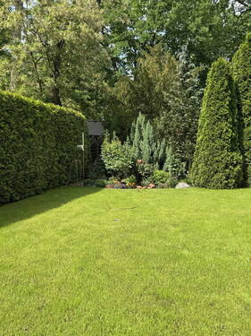 Blick in den Garten - 