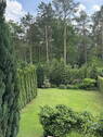 Blick in den Garten - 