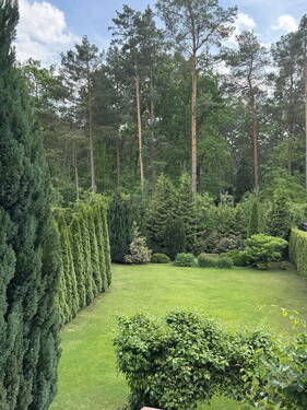 Blick in den Garten - 
