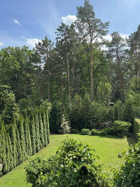 Blick in den Garten - 