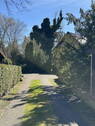 Auffahrt - Einfamilienhaus mit 110,00 m&sup2; in Wandlitz zum Kaufen