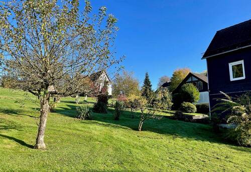 großer Garten mit Gestaltungsmöglichkeiten - 