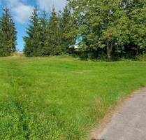 Hier ist Ihr Grundstück und Ihr neues Zuhause! - Ziemetshausen