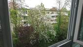 Aussicht Fenster/Wohnbereich - 