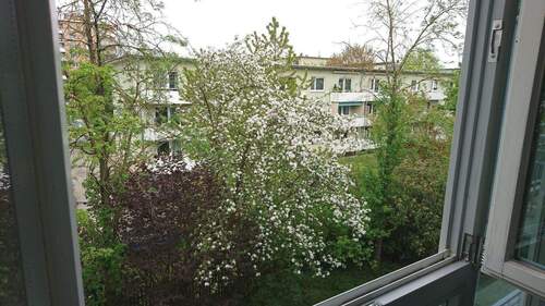 Aussicht Fenster/Wohnbereich - 