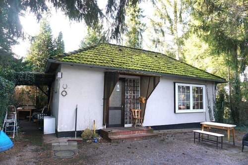 Blick zum Haus - *** Wohnhaus mit großem Gartengrundstück in Munster zu verkaufen***