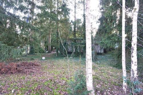 großes Gartengrundstück - 