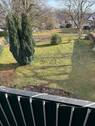 IMG_6033.jpeg - 