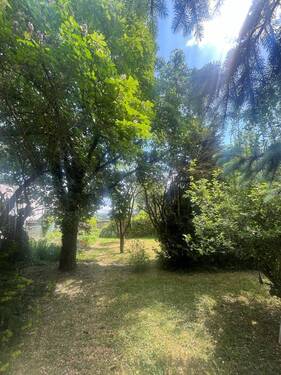 IMG_8890 - Mehrfamilienhaus, Wohnhaus mit 316,00 m² in Echzell zum Kaufen