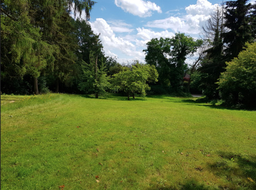 Viel Freiraum - 