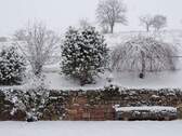 Garten im Winter - 