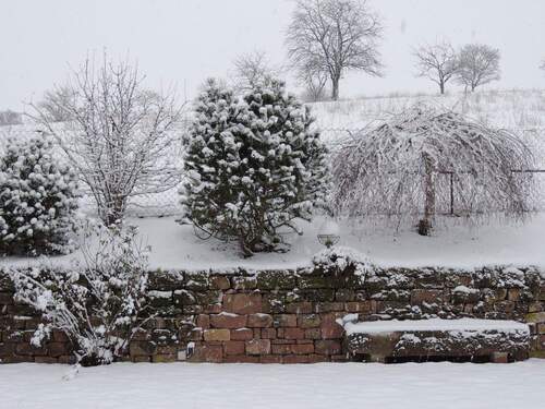 Garten im Winter - 