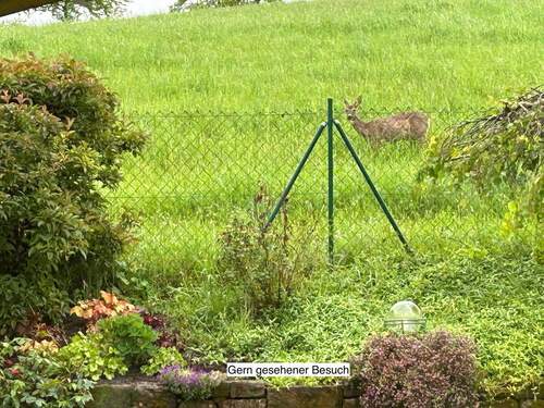 Willkommener Besuch - 