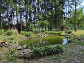Gartenteich - 