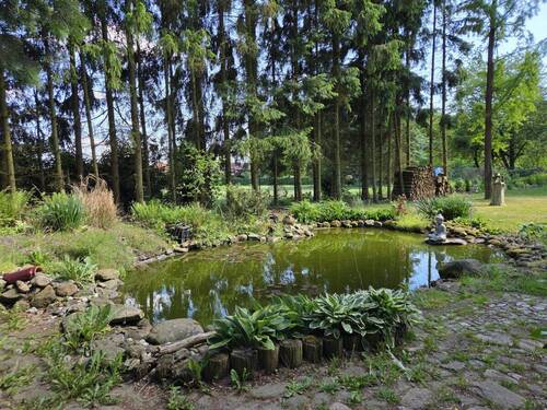 Gartenteich - 