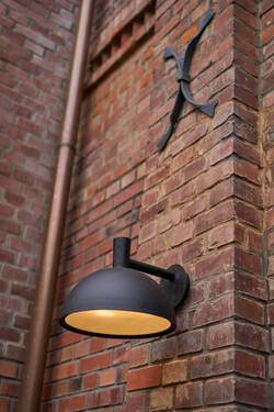 Bild 12 - 