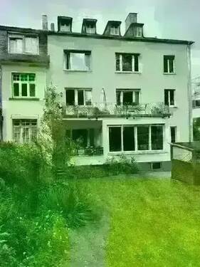 original (19).webp - 