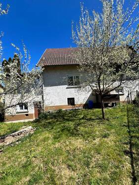 Garten mit Obstbäumen - 