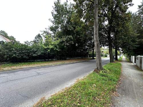 Straßenansicht Richtung Süden - Grundstück zum Kaufen in Zeuthen