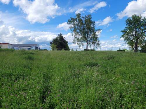 Ausblick Richtung Nord 2 - Grundstück zum Kaufen in Bad Langensalza