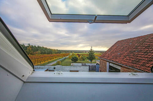 24Blick - 