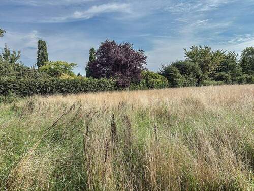 schöne und ruhige Feldrandlage - gut gelegen - gut geschnitten - Baugrundstück in Frömern