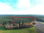 Ansicht Flurstücke - Waldflächen mit ca. 43.020 m² Gesamtfläche