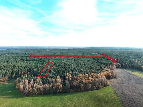 Ansicht Flurstücke - Waldflächen mit ca. 43.020 m² Gesamtfläche