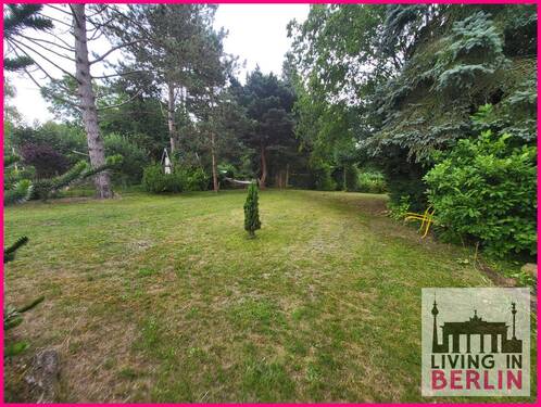 hinterer Teil des Grundstückes - 