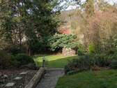 Blick in den Garten - 