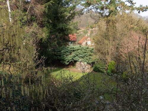 Blick von der Terrasse - 