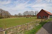 Koppel - 