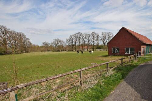 Koppel - 