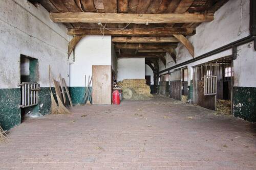 Boxen - 